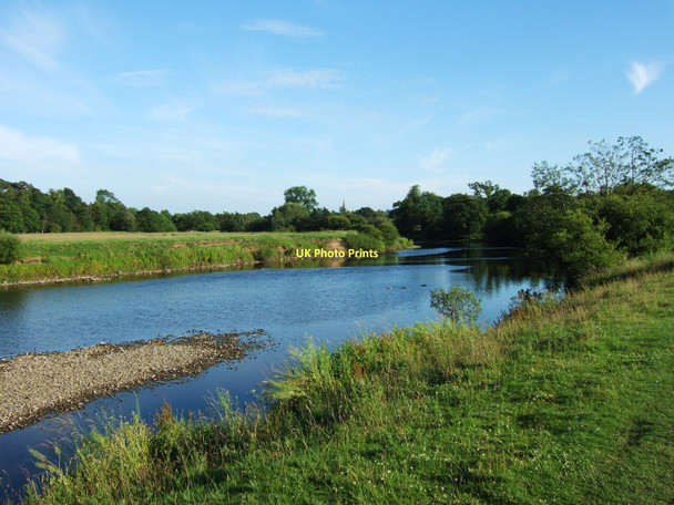 Photo 6"x4" The River Ure looking downstream towards Masham Masham c2011