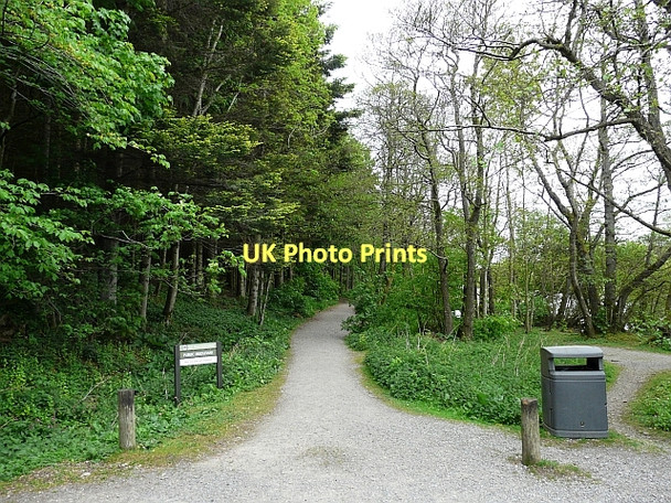 Photo 6"x4" Public bridleway, Pooley Bridge Pooley Bridge c2011