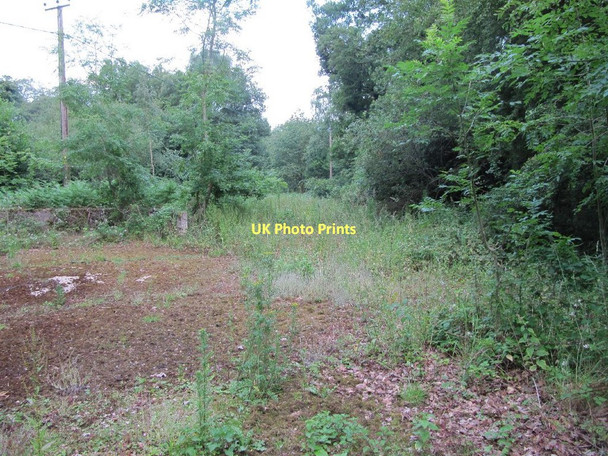 Photo 6"x4" Clearing near the building Catslip c2011