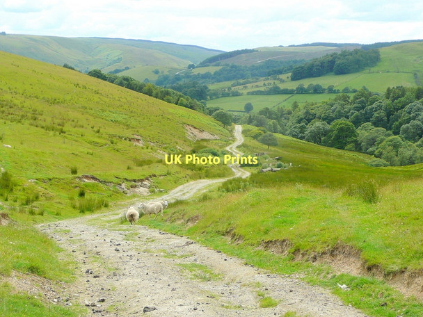 Photo 6"x4" Track descending Carreg Lwyd Abergwesyn c2011