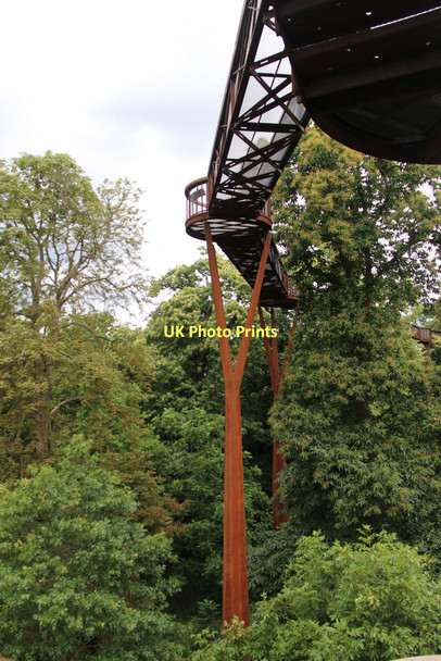 Photo 6"x4" Xstrata Tree Walk, Kew Gardens, London Brentford c2011 P1