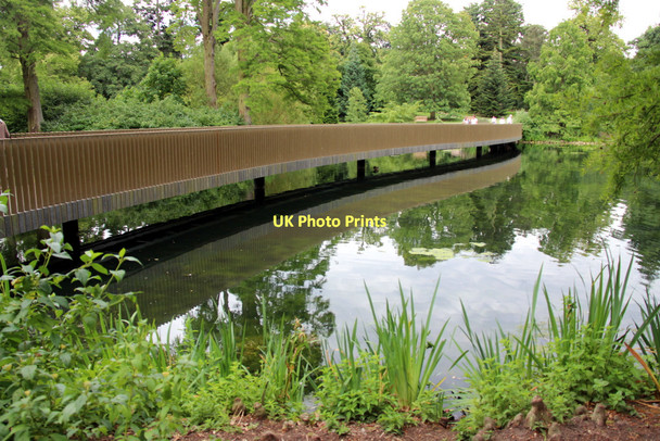 Photo 6"x4" Sackler Bridge, Kew Gardens, London Brentford c2011