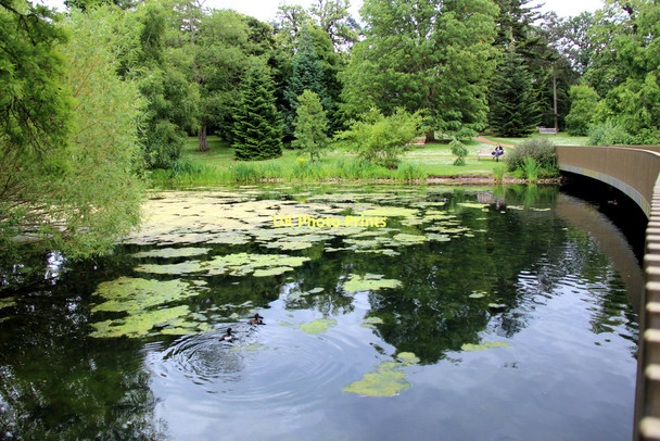 Photo 6"x4" Sackler Crossing, Kew Gardens, London Brentford c2011