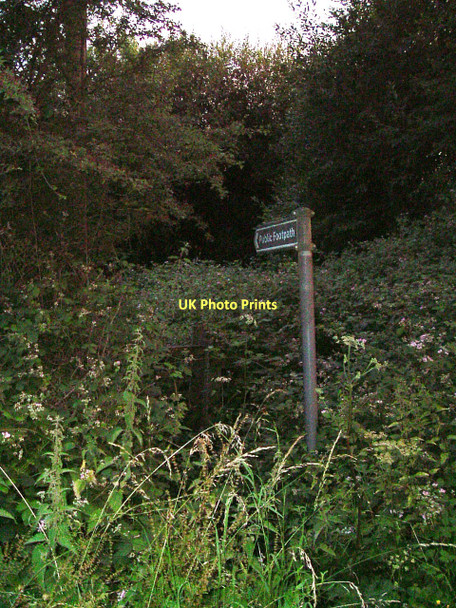 Photo 6"x4" After you! Hensting c2010