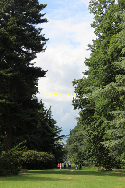 Photo 6"x4" Syon Walk, Kew Gardens, London Brentford c2011
