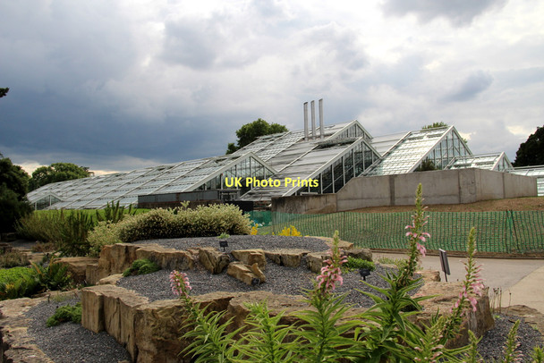 Photo 6"x4" Alpine Rock Garden, Kew Gardens, London Brentford c2011