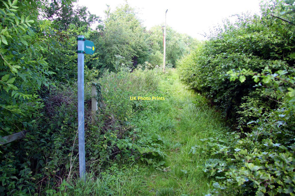 Photo 6"x4" Footpath round Noke Noke c2011