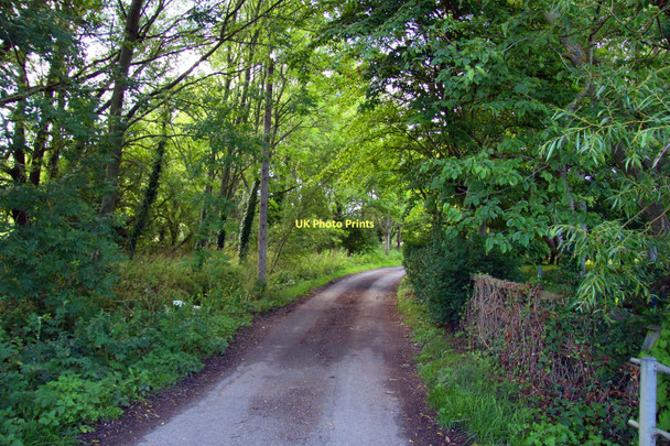 Photo 6"x4" The road to Noke Noke c2011