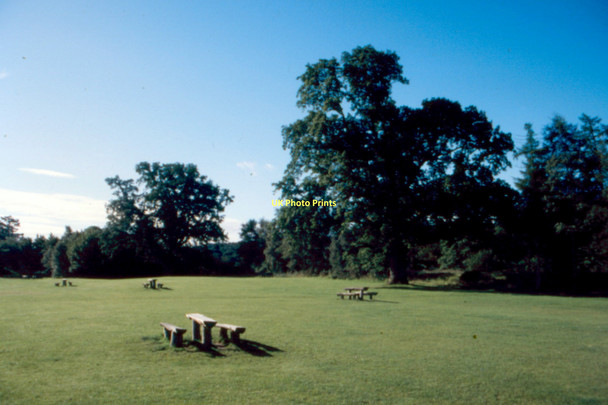 Photo 6"x4" Loch Lomond - 1987 Arden\/NS3684 c1987 P1