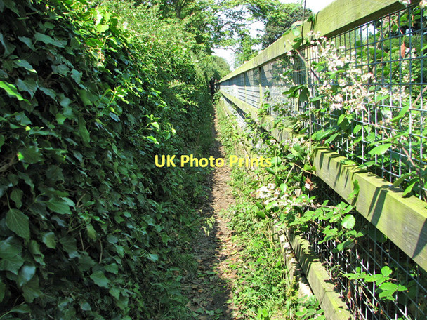 Photo 6"x4" Footpath along drainage channel at Marston Moor, Earsham Earsham c2011