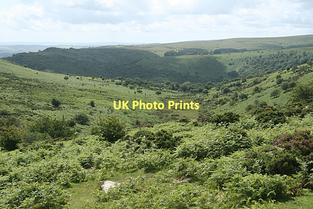 Photo 6"x4" Widecombe in the Moor: below Yartor Down Dartmeet c2011