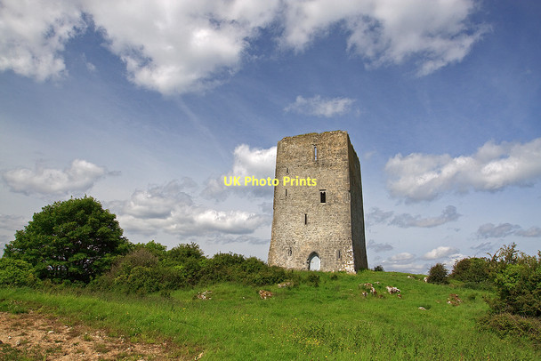 Photo 6"x4" Castles of Munster: Tullaun, Tipperary (2) Coolbaun c2011
