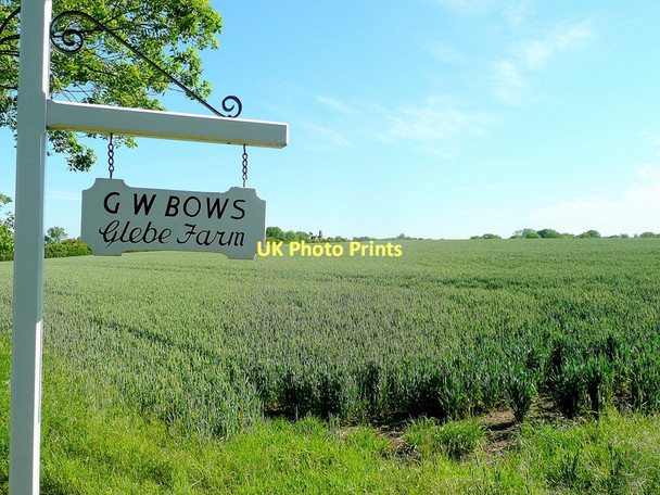 Photo 6"x4" Wheat crop near Blyton Blyton c2011