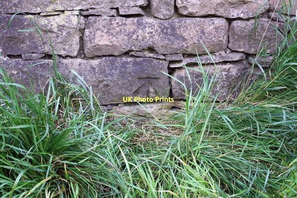 Photo 6"x4" Benchmark on barn at Low Flats Dent\/SD7086 c2011