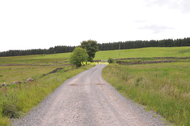 Photo 6"x4" Road from the forestry to Ae village Ae c2011