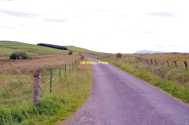Photo 6"x4" Minor road to Auchencairn Auchencairn\/NX9784 c2011