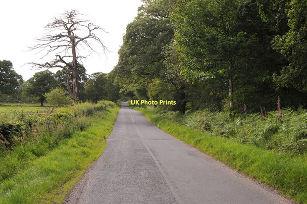 Photo 6"x4" Minor road near New Abbey New Abbey c2011