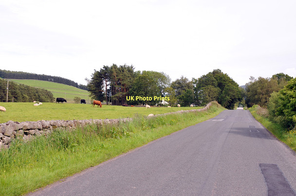 Photo 6"x4" Minor road from Beewsing to New Abbey Beeswing c2011