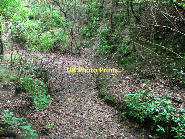 Photo 6"x4" Unnamed stream south of Sibton Green Hemp Green c2011