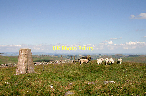 Photo 6"x4" The triangulation pillar on Craik Moor Mowhaugh c2011