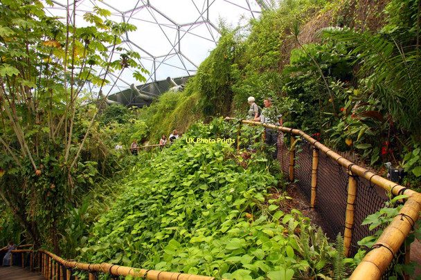 Photo 6"x4" Pathway at the top of the Rainforest Biome Garker c2011