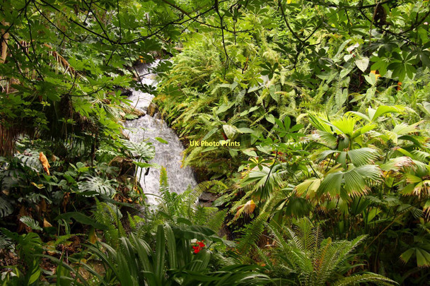 Photo 6"x4" Waterfall in the Rainforest Biome Garker c2011