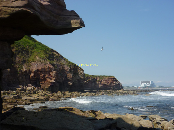 Photo 6"x4" Coastal East Lothian : Under The Cliffs Near Bilsdean Cove\/NT7771 c2011