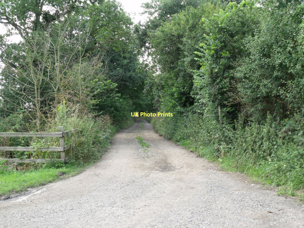 Photo 6"x4" Track to Anson's Farm Morton\/SK8863 c2011
