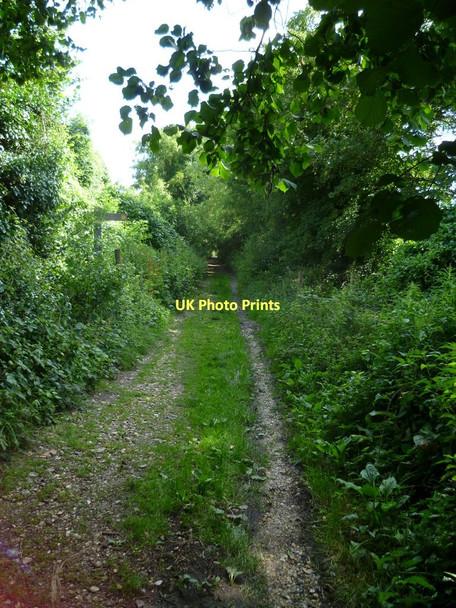Photo 6"x4" Footpath leaves new Road north of East Dean East Dean\/SU9013 c2011