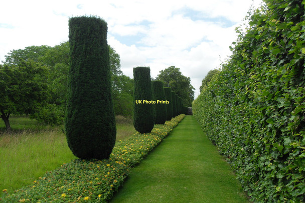 Photo 6"x4" The grounds of Lytes Cary Manor Cary Fitzpaine c2011
