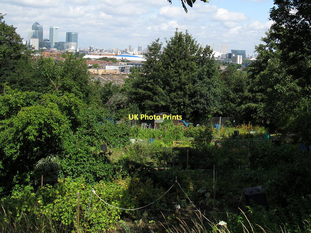 Photo 6"x4" Humber Road allotments - looking north Greenwich\/TQ3977 c2011