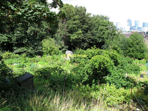 Photo 6"x4" Humber Road allotments, looking west Greenwich\/TQ3977 c2011
