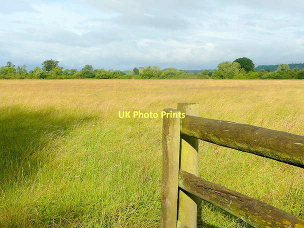 Photo 6"x4" Severn meadows Apperley\/SO8628 c2011