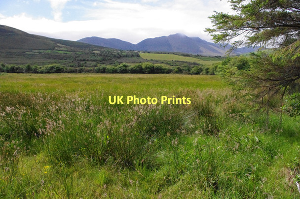 Photo 6"x4" Pasture, Carhoonahone Beaufort\/V8892 c2011