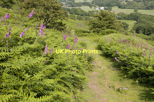 Photo 6"x4" Footpath to Beckfoot Boot c2011