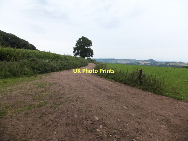 Photo 6"x4" Footpath to Hayes Lane Budleigh Salterton c2011