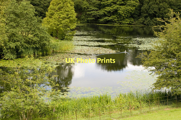 Photo 6"x4" Holehird Tarn Windermere\/SD4198 c2011