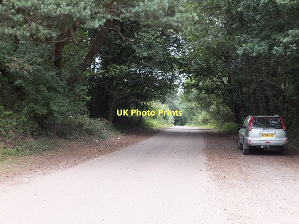 Photo 6"x4" The road to Yettington across East Budleigh Common Budleigh Salterton c2011