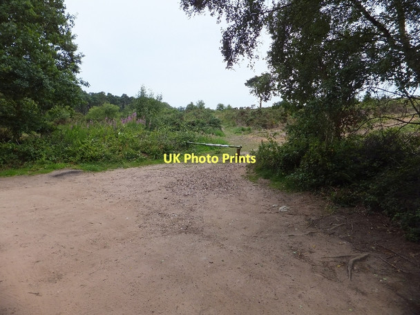 Photo 6"x4" Footpaths on East Budleigh Common Hulham c2011