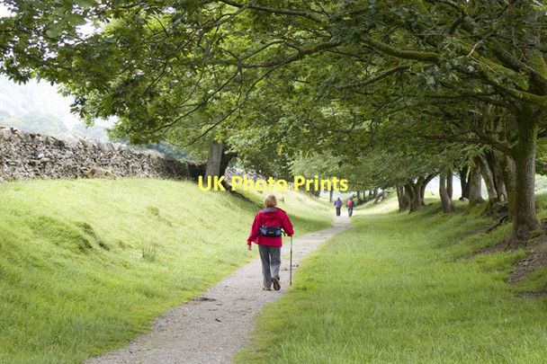 Photo 6"x4" Permissive footpath by Park Coppice Bowmanstead c2011