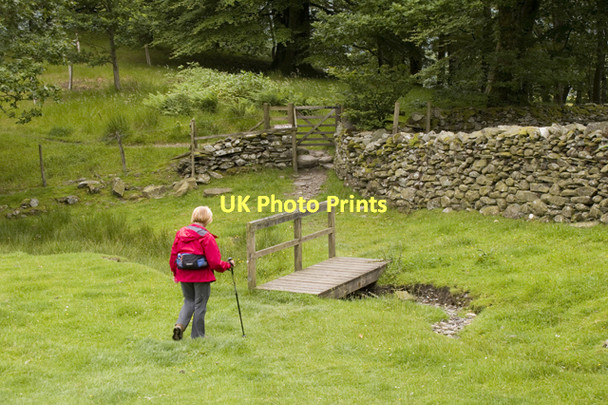 Photo 6"x4" Footpath to Coniston Hall at Bowmanstead Haws Bank\/SD3096 c2011