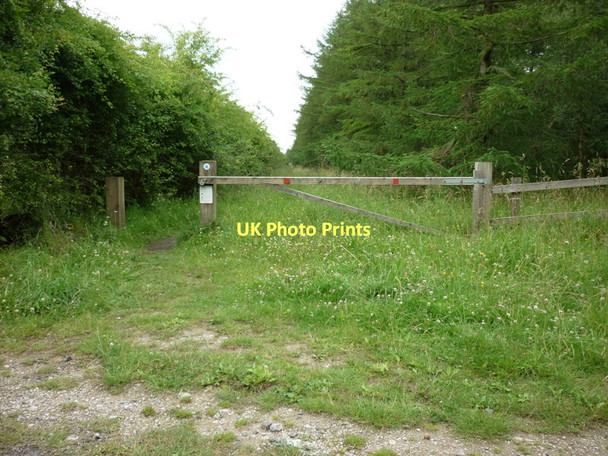 Photo 6"x4" A bridleway to Wardle Green Stape c2011