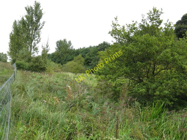 Photo 6"x4" The Magic Fencepost! New Mills\/SJ7781 c2009