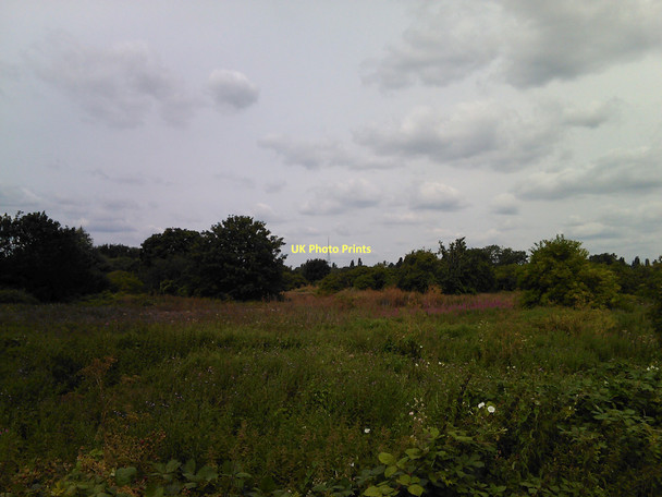 Photo 6"x4" View of the Anerley TV transmission mast from South Norwood Country Park # Beckenham c2011