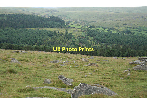 Photo 6"x4" Walkhampton: below Sharpitor Sheepstor c2011
