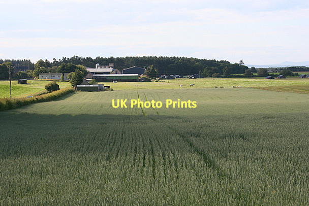 Photo 6"x4" Ellands of Brodie Dyke\/NH9858 c2011