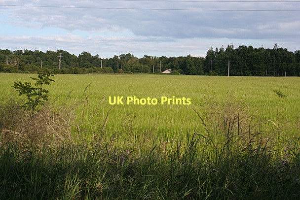 Photo 6"x4" Fields near Brodie Dyke\/NH9858 c2011