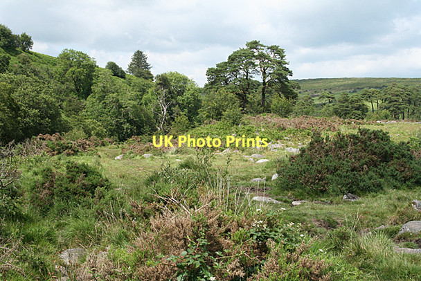 Photo 6"x4" Dartmoor Forest: Swincombe valley Sherberton c2011