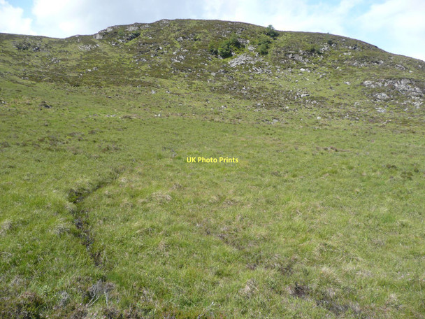 Photo 6"x4" A few trees survive on Glac nan Cabar  Balgowan\/NN6394 c2011