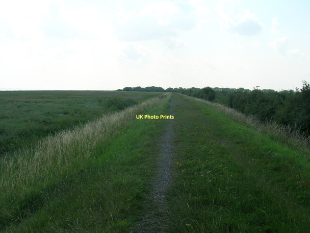 Photo 6"x4" Footpath along the Humber Paull c2011